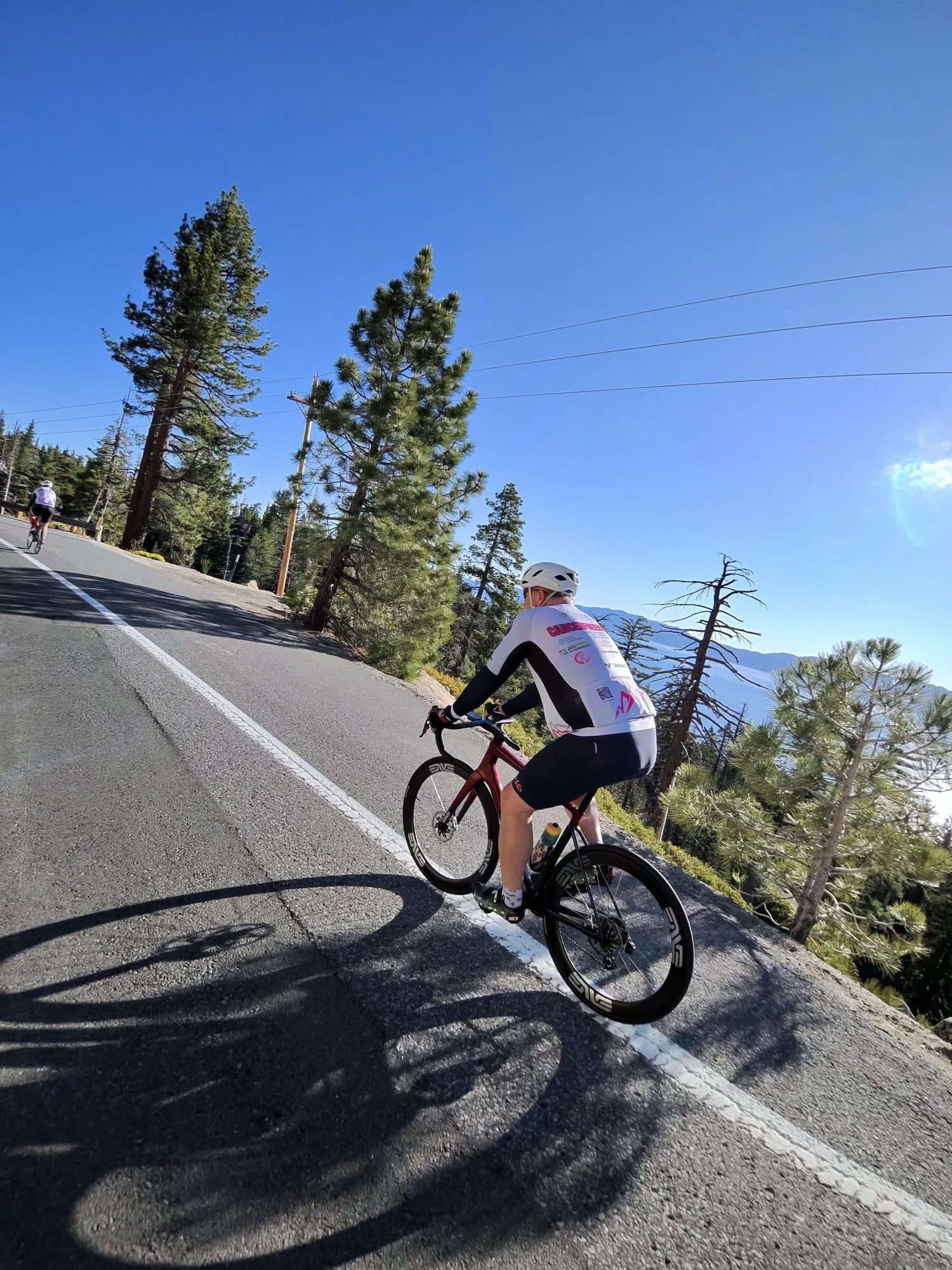 Rider climbing through the pines above Lake Tahoe